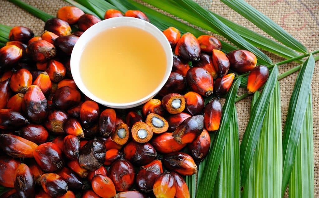 Palm Oil Free Soap